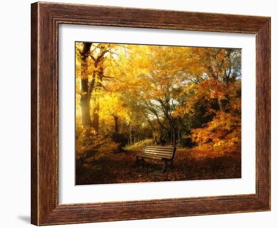 Autumn Break-Philippe Manguin-Framed Photographic Print