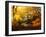 Autumn Break-Philippe Manguin-Framed Photographic Print