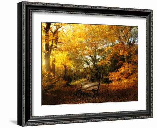 Autumn Break-Philippe Manguin-Framed Photographic Print