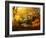 Autumn Break-Philippe Manguin-Framed Photographic Print