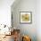 Autumn Breeze V-Leslie Trimbach-Framed Stretched Canvas displayed on a wall