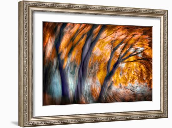 Autumn Breeze-Ursula Abresch-Framed Photographic Print