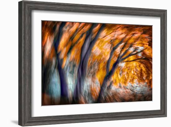 Autumn Breeze-Ursula Abresch-Framed Photographic Print
