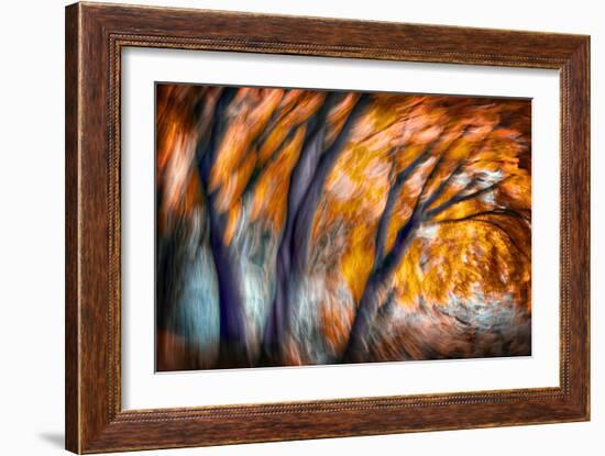 Autumn Breeze-Ursula Abresch-Framed Photographic Print