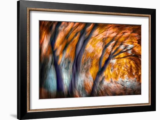 Autumn Breeze-Ursula Abresch-Framed Photographic Print