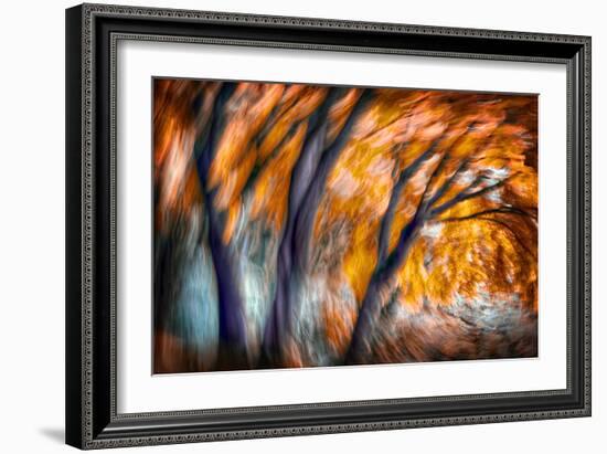 Autumn Breeze-Ursula Abresch-Framed Photographic Print