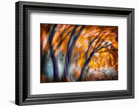 Autumn Breeze-Ursula Abresch-Framed Photographic Print