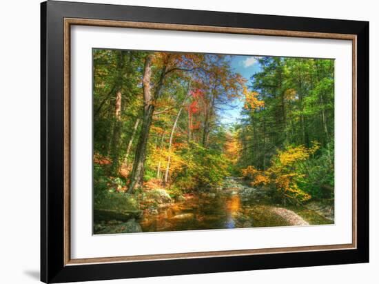 Autumn Brook-Robert Goldwitz-Framed Photographic Print