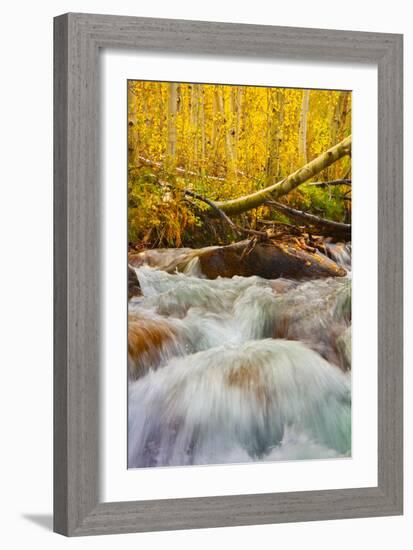 Autumn Brook-Mark Geistweite-Framed Photographic Print