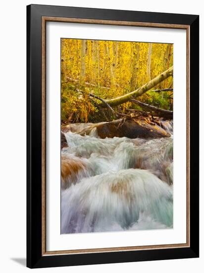 Autumn Brook-Mark Geistweite-Framed Photographic Print