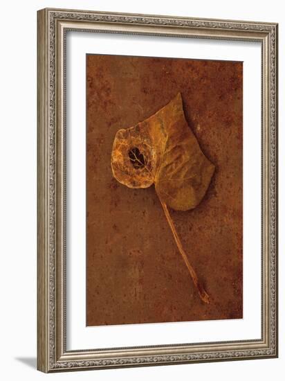 Autumn Brown-Den Reader-Framed Photographic Print