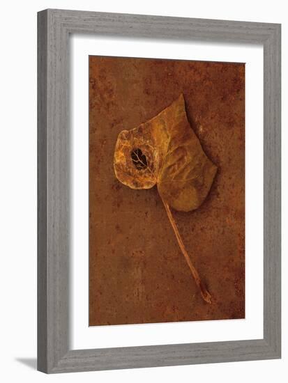 Autumn Brown-Den Reader-Framed Photographic Print