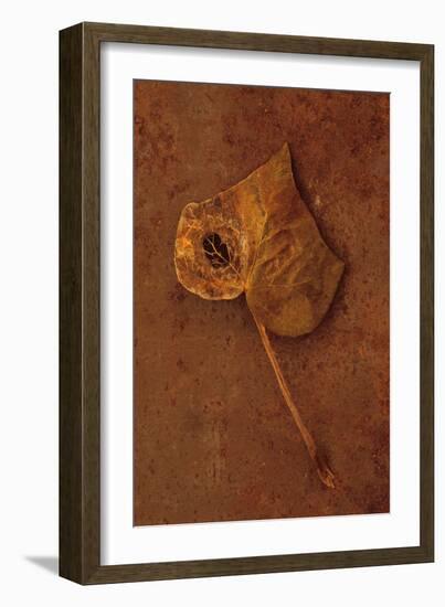 Autumn Brown-Den Reader-Framed Photographic Print