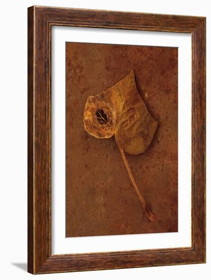 Autumn Brown-Den Reader-Framed Photographic Print