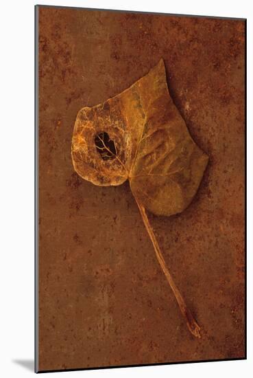 Autumn Brown-Den Reader-Mounted Photographic Print
