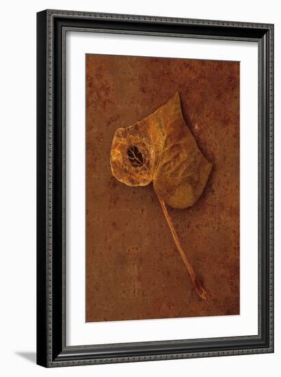 Autumn Brown-Den Reader-Framed Photographic Print