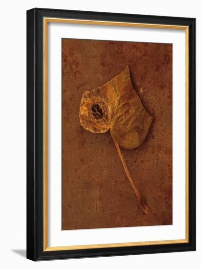 Autumn Brown-Den Reader-Framed Photographic Print