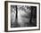 Autumn Burst-Doug Chinnery-Framed Photographic Print