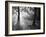 Autumn Burst-Doug Chinnery-Framed Photographic Print