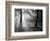 Autumn Burst-Doug Chinnery-Framed Photographic Print