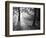 Autumn Burst-Doug Chinnery-Framed Photographic Print