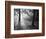 Autumn Burst-Doug Chinnery-Framed Photographic Print