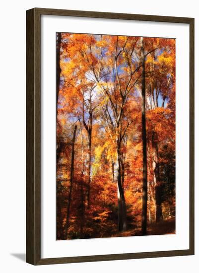 Autumn Cathedral II-Alan Hausenflock-Framed Photographic Print