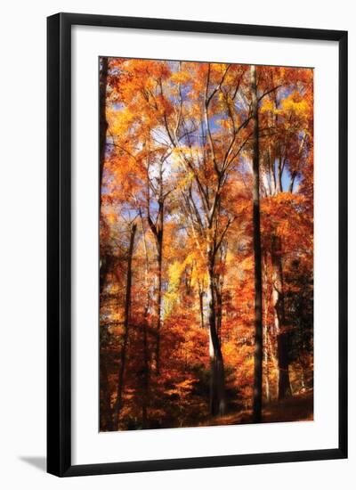 Autumn Cathedral II-Alan Hausenflock-Framed Photographic Print