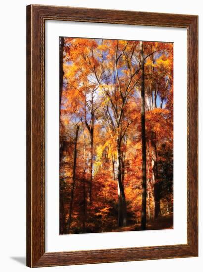 Autumn Cathedral II-Alan Hausenflock-Framed Photographic Print