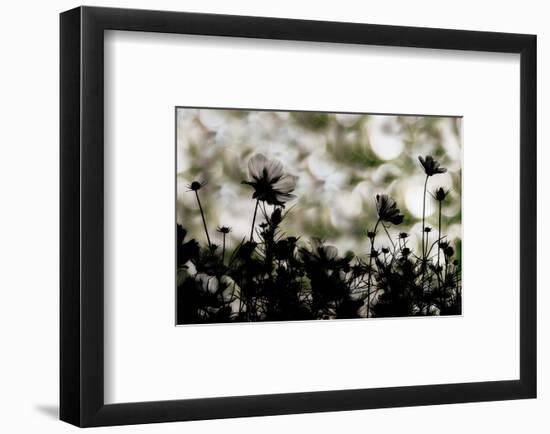 Autumn Chorus-null-Framed Art Print