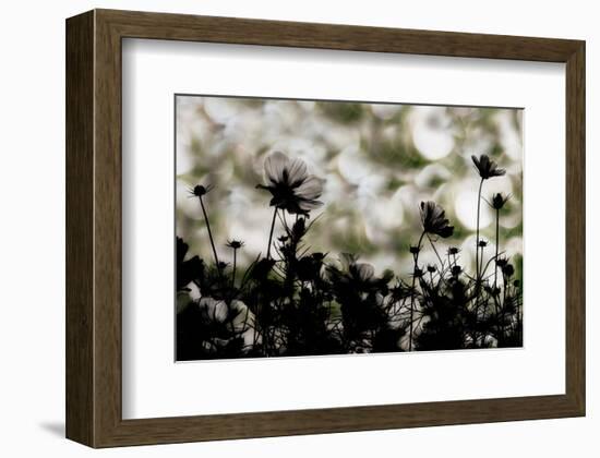 Autumn Chorus-null-Framed Art Print