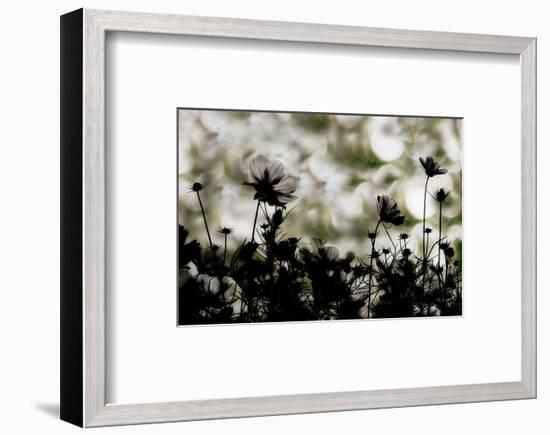 Autumn Chorus-null-Framed Art Print