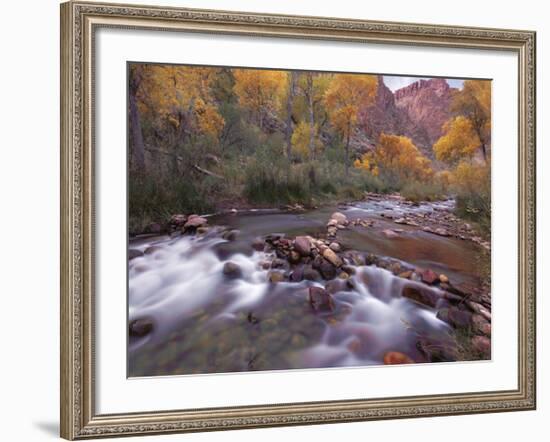 Autumn Color 1-Ken Bremer-Framed Giclee Print