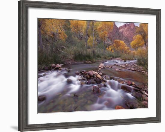 Autumn Color 1-Ken Bremer-Framed Giclee Print