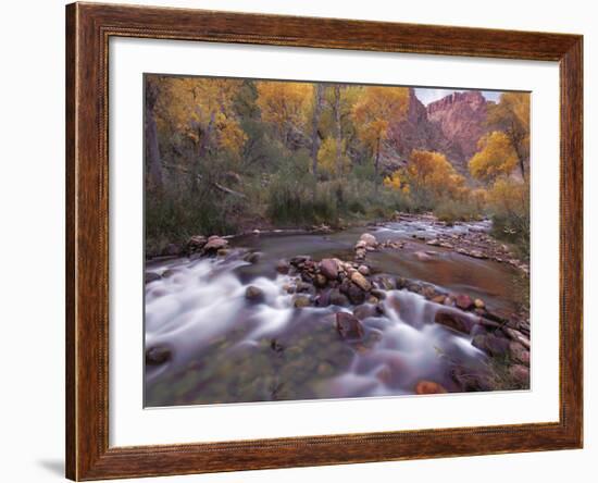 Autumn Color 1-Ken Bremer-Framed Giclee Print