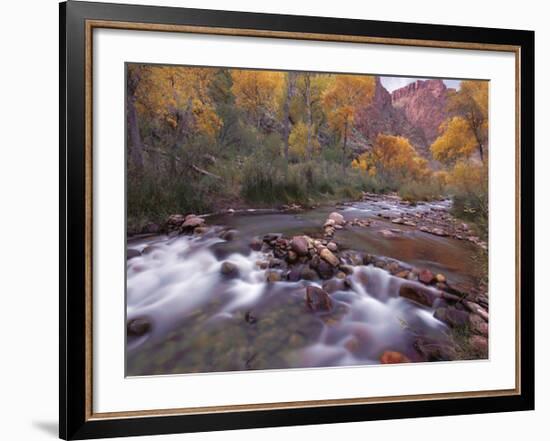 Autumn Color 1-Ken Bremer-Framed Giclee Print