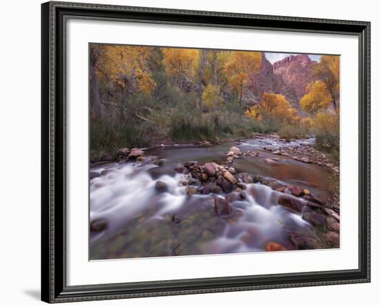 Autumn Color 1-Ken Bremer-Framed Giclee Print