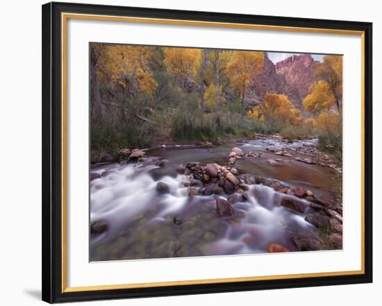 Autumn Color 1-Ken Bremer-Framed Giclee Print