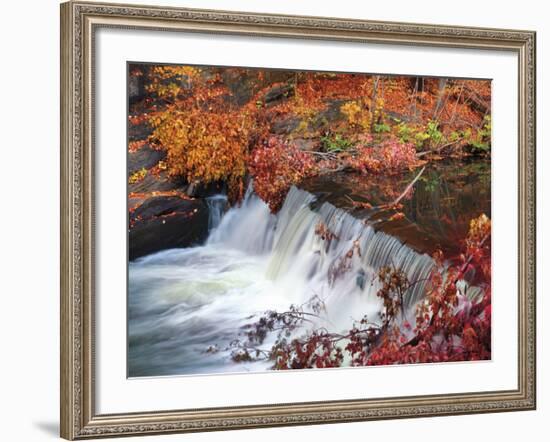 Autumn Color 2-Ken Bremer-Framed Giclee Print
