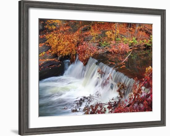 Autumn Color 2-Ken Bremer-Framed Giclee Print