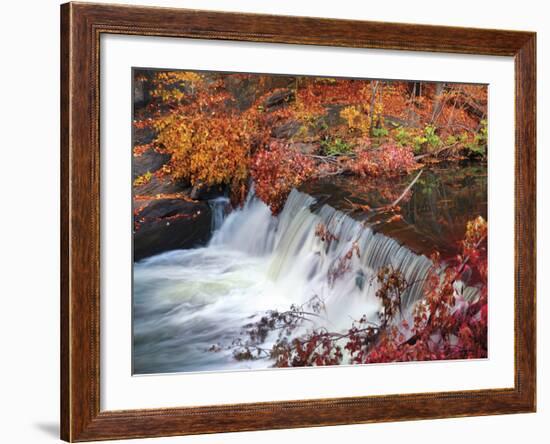 Autumn Color 2-Ken Bremer-Framed Giclee Print