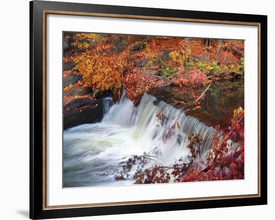 Autumn Color 2-Ken Bremer-Framed Giclee Print