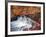 Autumn Color 2-Ken Bremer-Framed Giclee Print