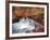 Autumn Color 2-Ken Bremer-Framed Giclee Print