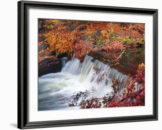 Autumn Color 2-Ken Bremer-Framed Giclee Print