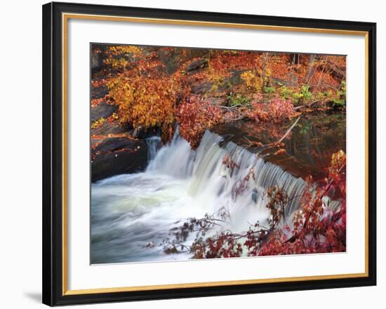 Autumn Color 2-Ken Bremer-Framed Giclee Print