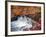 Autumn Color 2-Ken Bremer-Framed Giclee Print