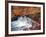 Autumn Color 2-Ken Bremer-Framed Giclee Print