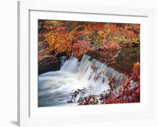 Autumn Color 2-Ken Bremer-Framed Giclee Print