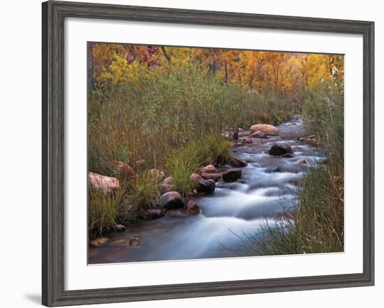 Autumn Color 3-Ken Bremer-Framed Giclee Print